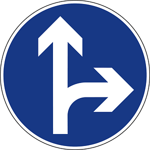 Proceed straight or turn right only sign in Slovenia