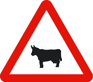 Domestic animals sign in Spain