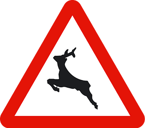 Wild animals sign in Spain
