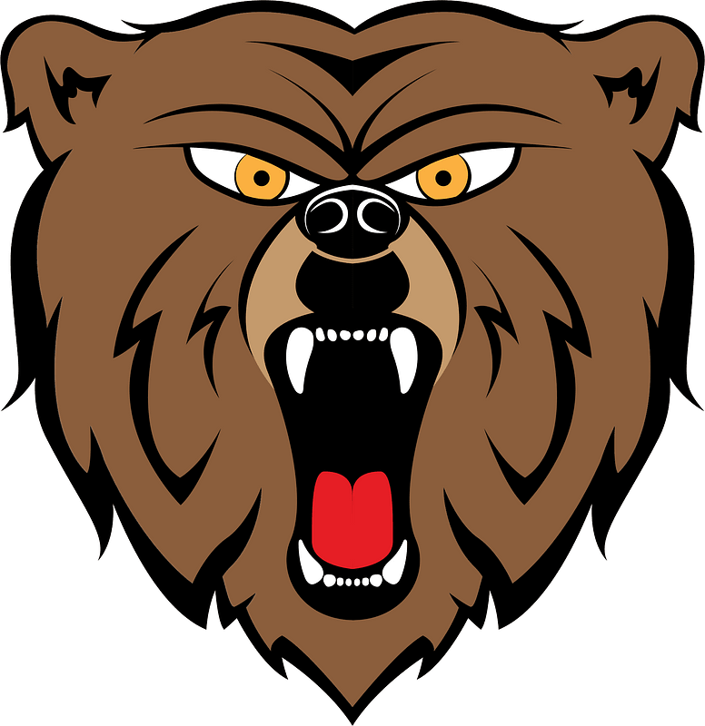 Bear mascot head logo