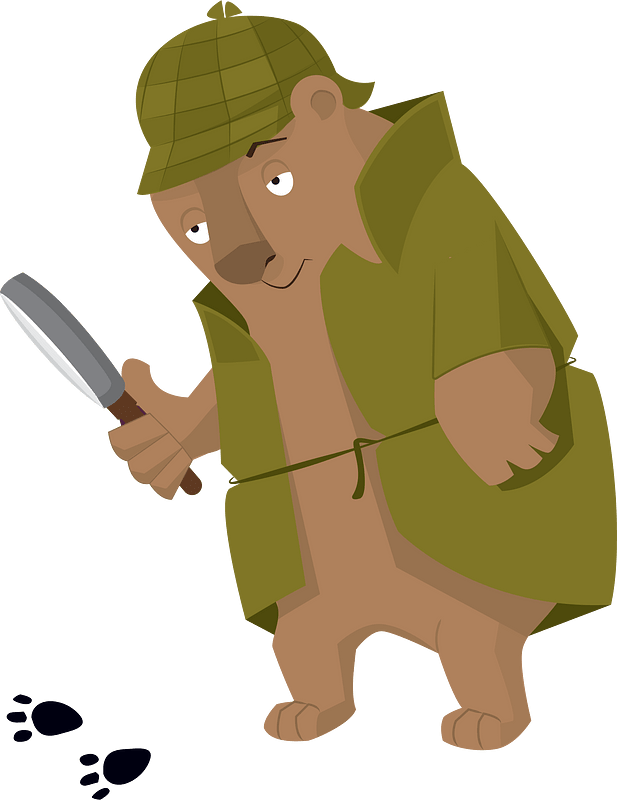 Cartoon bear 