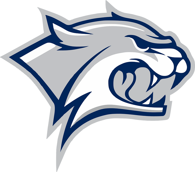 Grey wildcat logo 