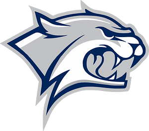 Grey wildcat logo 