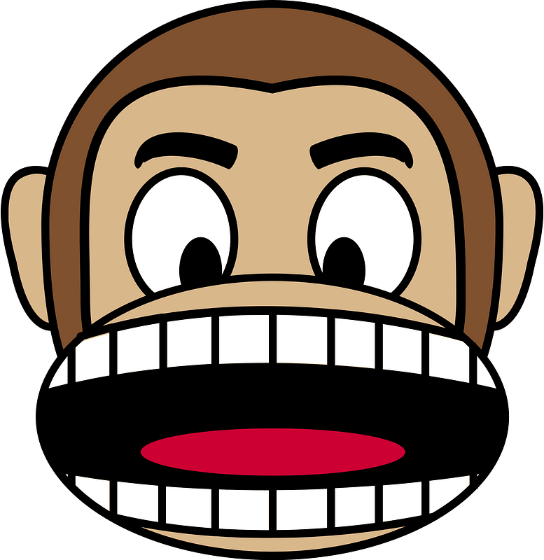 Monkey emotions 