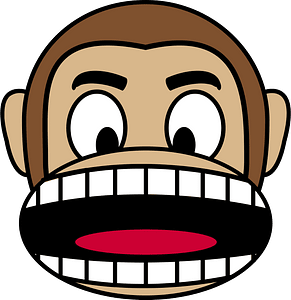 Monkey emotions 