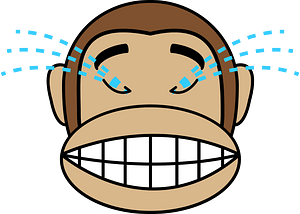 Monkey emotions 