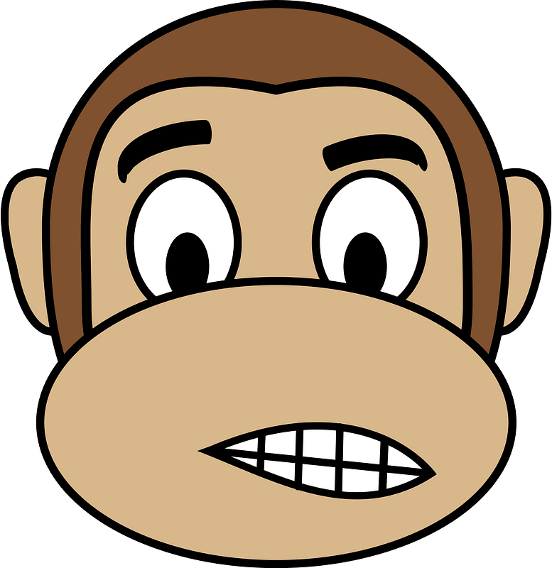 Monkey emotions 