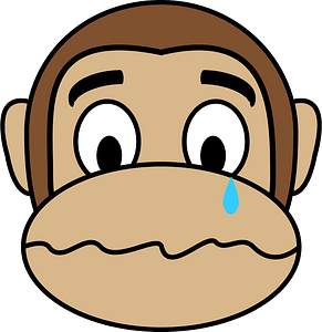 Monkey emotions