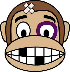 Monkey emotions 