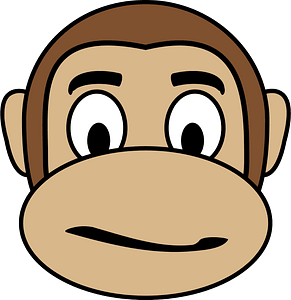 Monkey emotions 