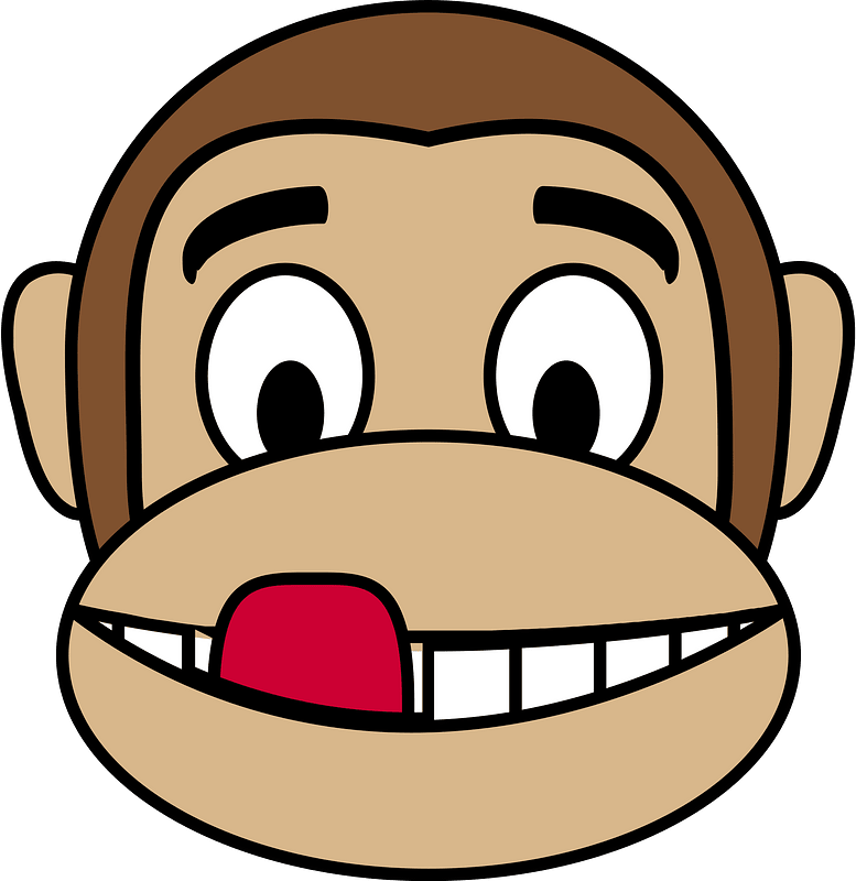 Monkey emotions 