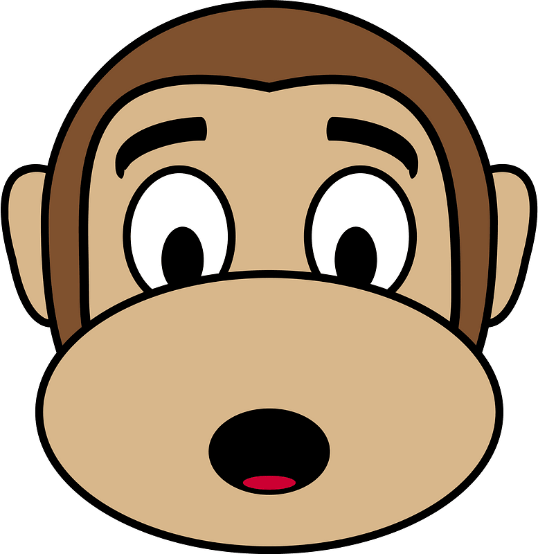Monkey emotions 