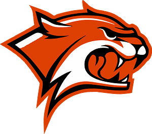 Orange wildcat logo 