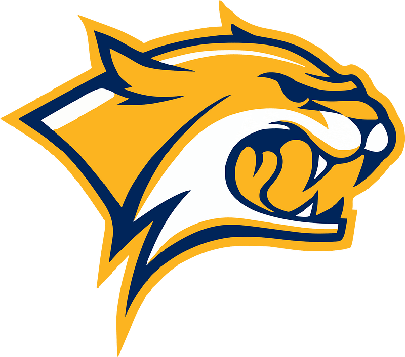 Yellow wildcat logo 