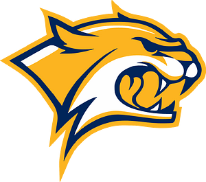 Yellow wildcat logo 