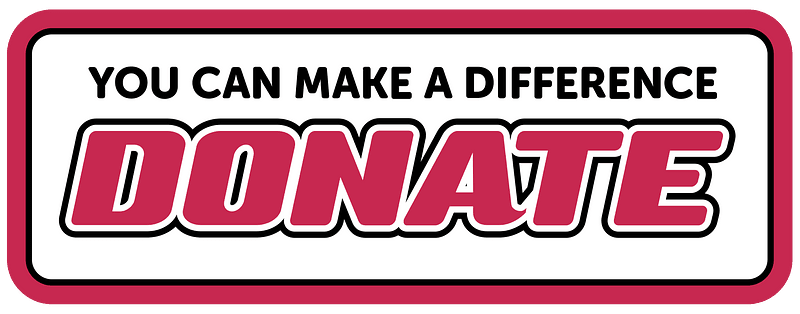 Donate banner vector