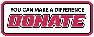 Donate banner vector