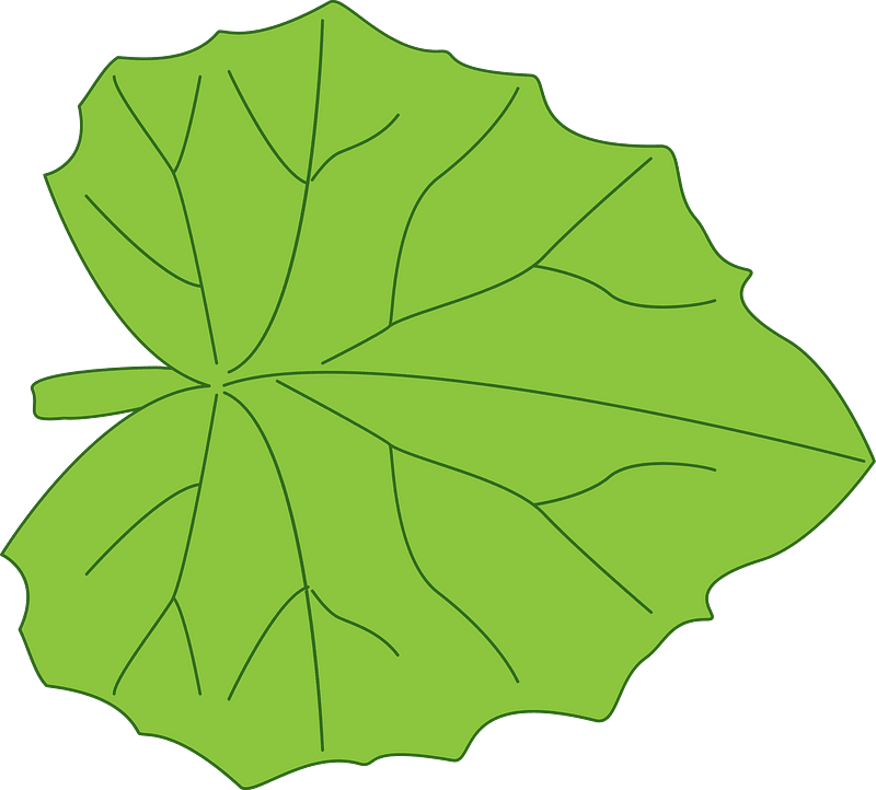 Leaf 