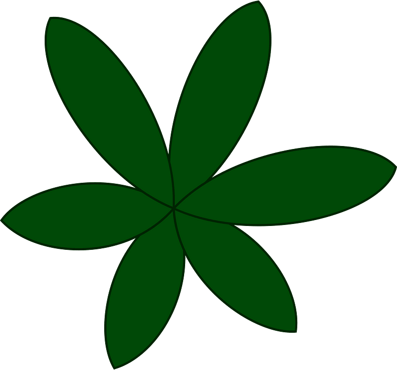 Leaf 