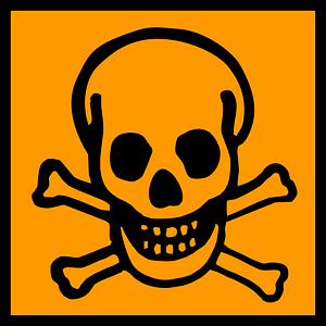 Pirate skull logo
