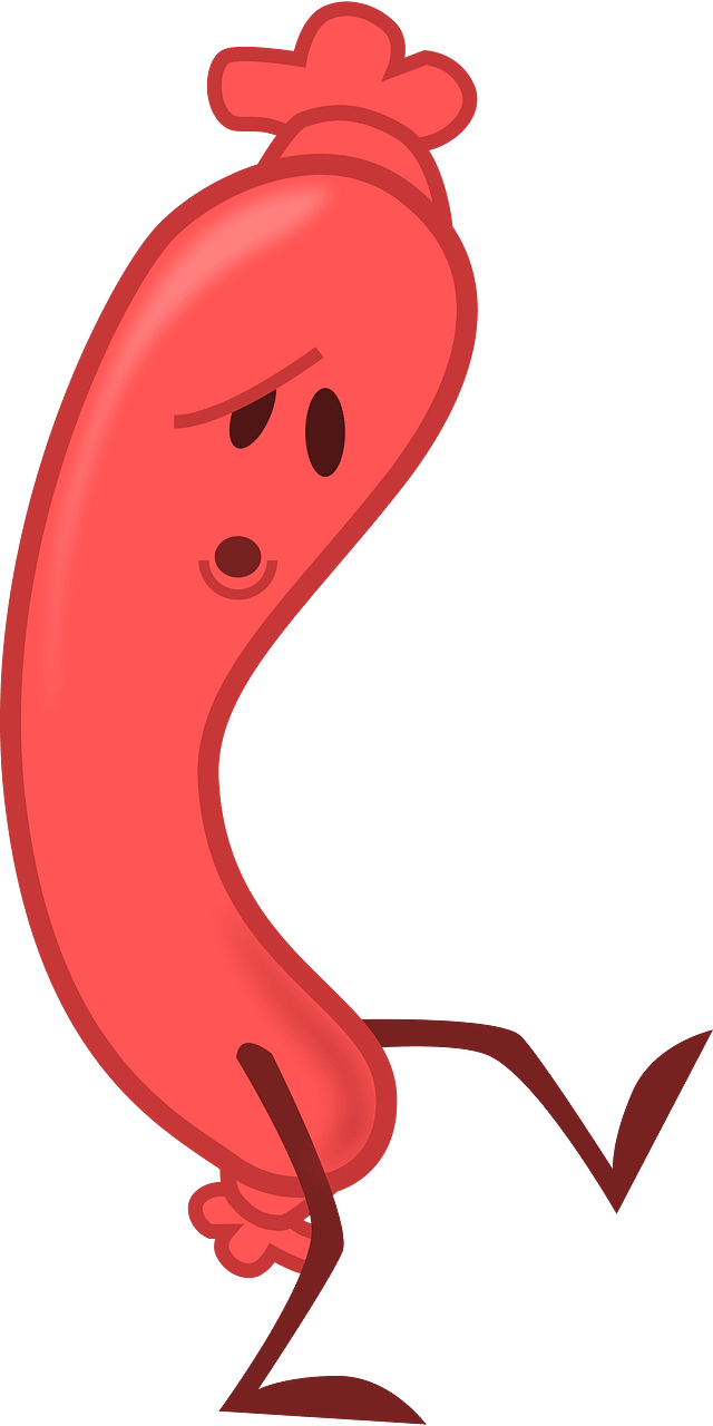 Sausage character 