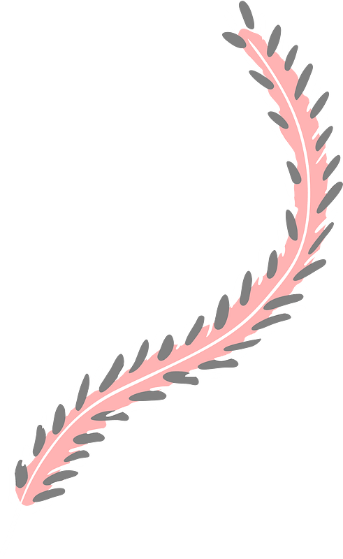 Tiny plumelet 