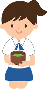 Japanese Tea Ceremony