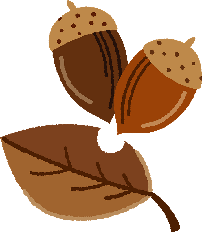 Acorns and Fallen Leaf