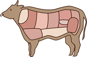 Diagram of Beef Cuts