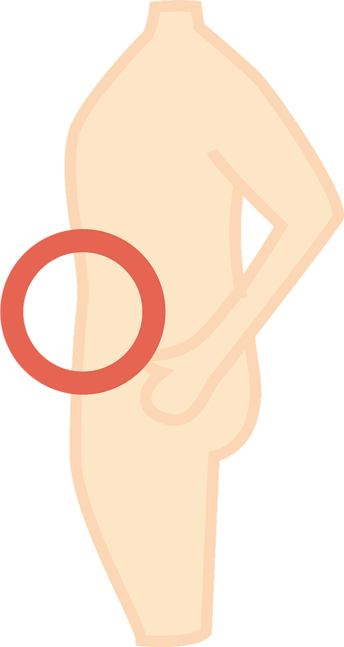 Human Belly