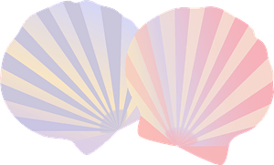 Striped Shells