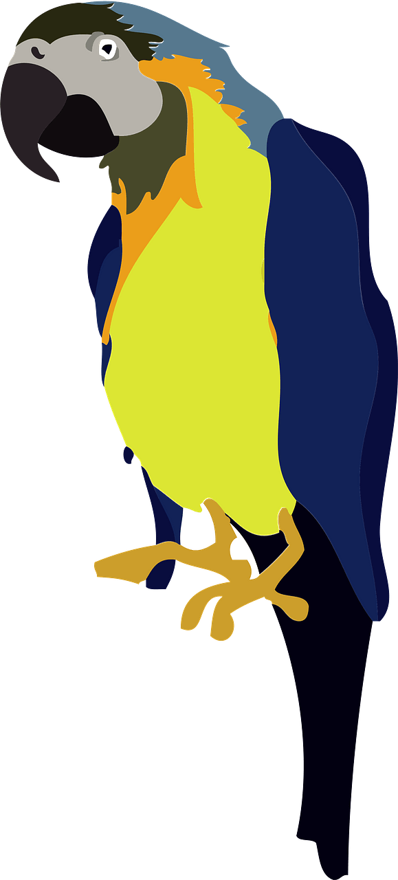 Blue and Yellow Macaw