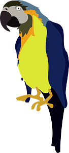 Blue and Yellow Macaw