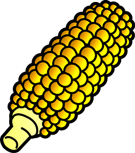 Broiled Sweet Corn