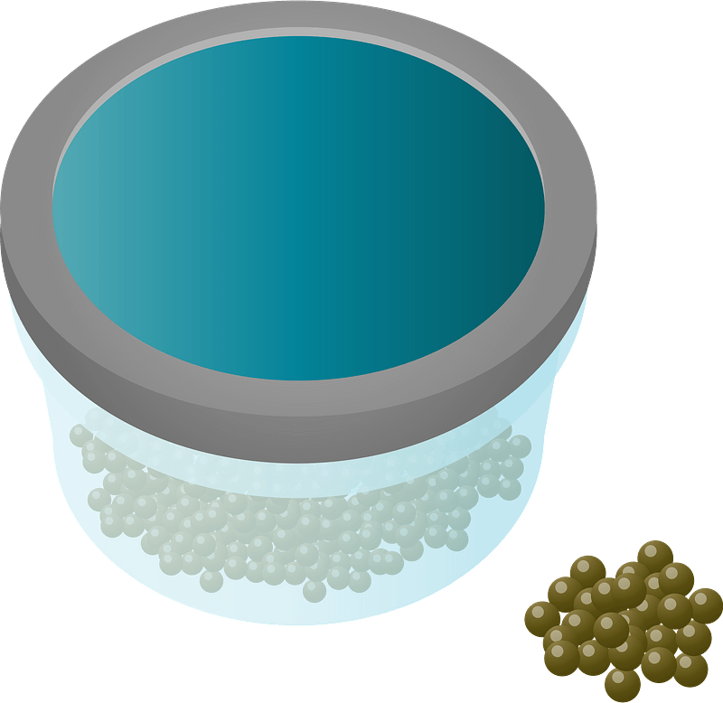 Caviar Salt Cured Fish Eggs