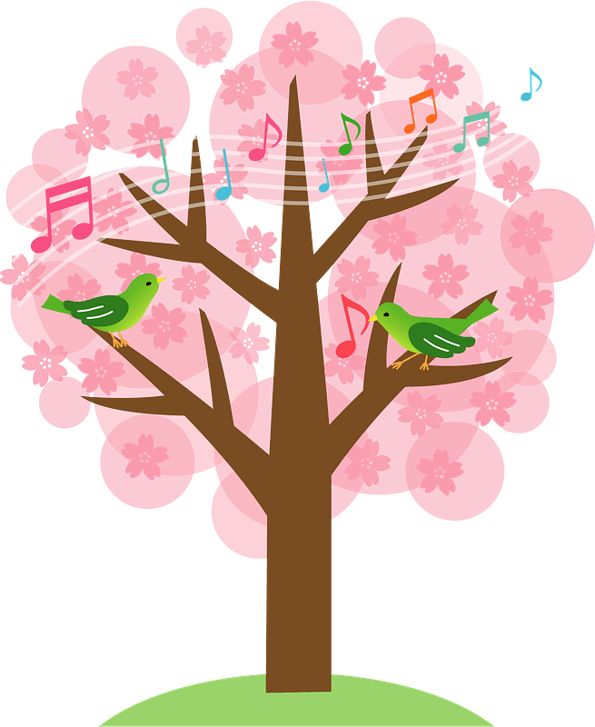 Cherry Blossoms and Japanese Bush Warbler