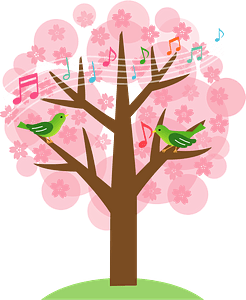 Cherry Blossoms and Japanese Bush Warbler