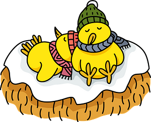 Chicks are Sleeping in the Snow