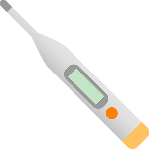 Electronic Clinical Thermometer