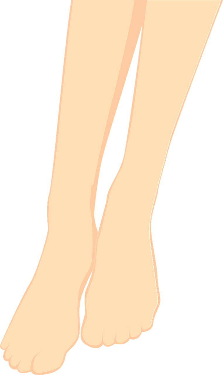 Feet Legs