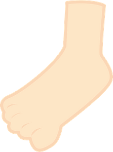 Human foot