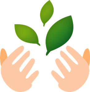 Hands are Holding Green Leaves