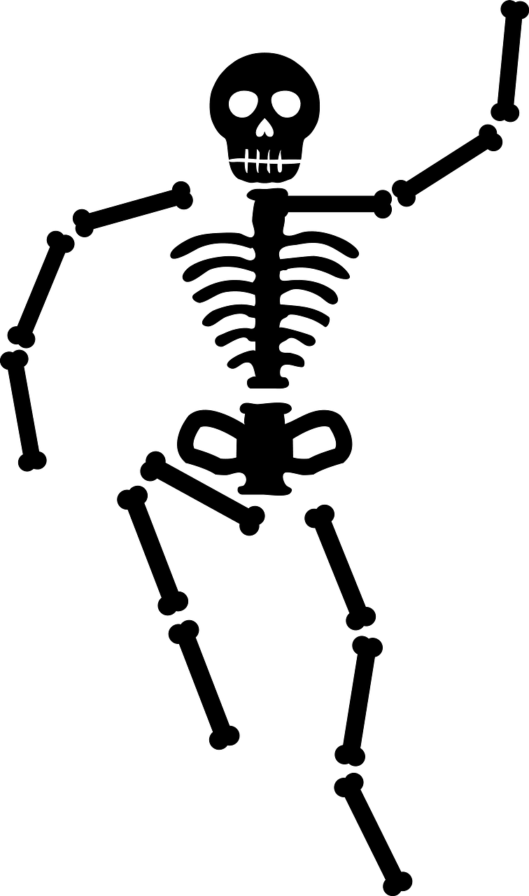 Human Skeleton Silhouette