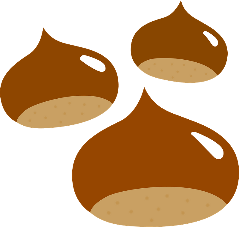 Japanese Chestnuts Food