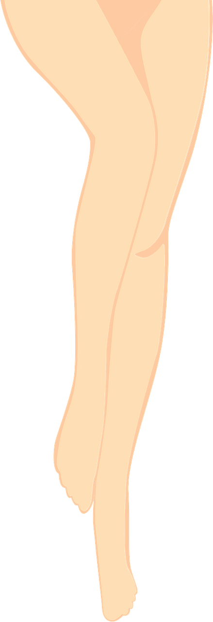 Legs