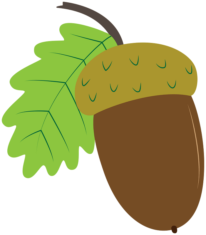 Acorn - Free vector clipart images on creazilla.com