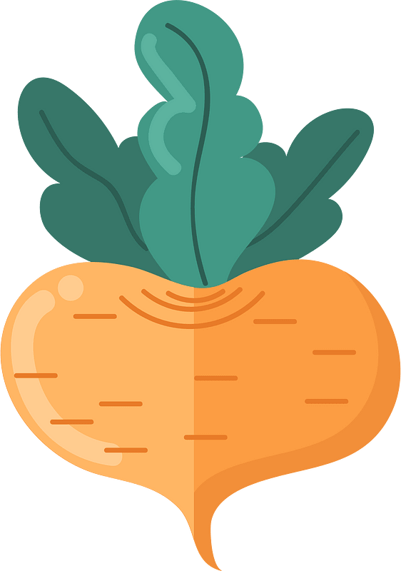 大頭菜
