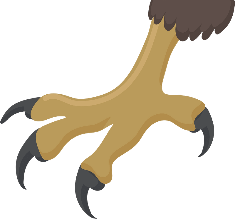 Eagle claw