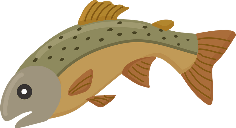 Speckled trout - Free vector clipart images on creazilla.com