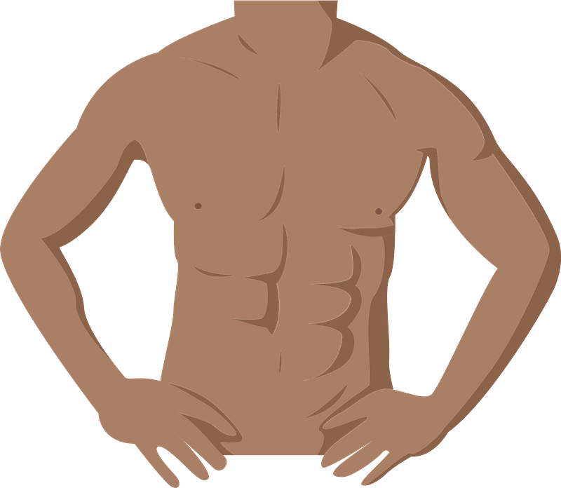 Muscle